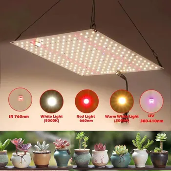 Samsung LM281B Quantum LED Grow Light мощностью 1000 Вт, фитолампа полного спектра для выращивания комнатных растений, цветов, саженцев в теплице